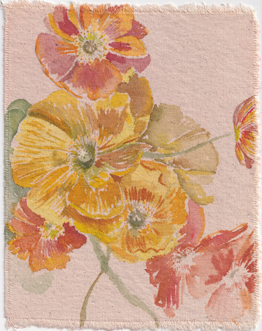 Icelandic Poppy