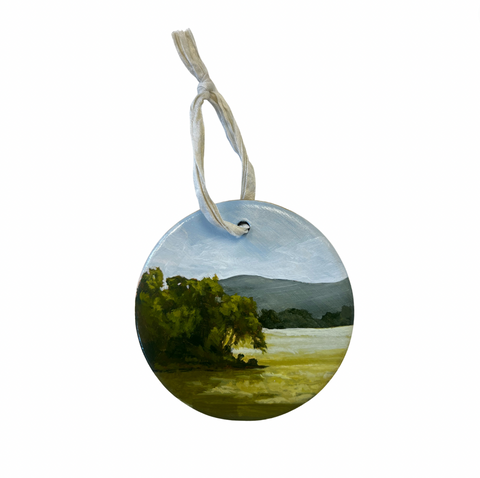 Ornament 5