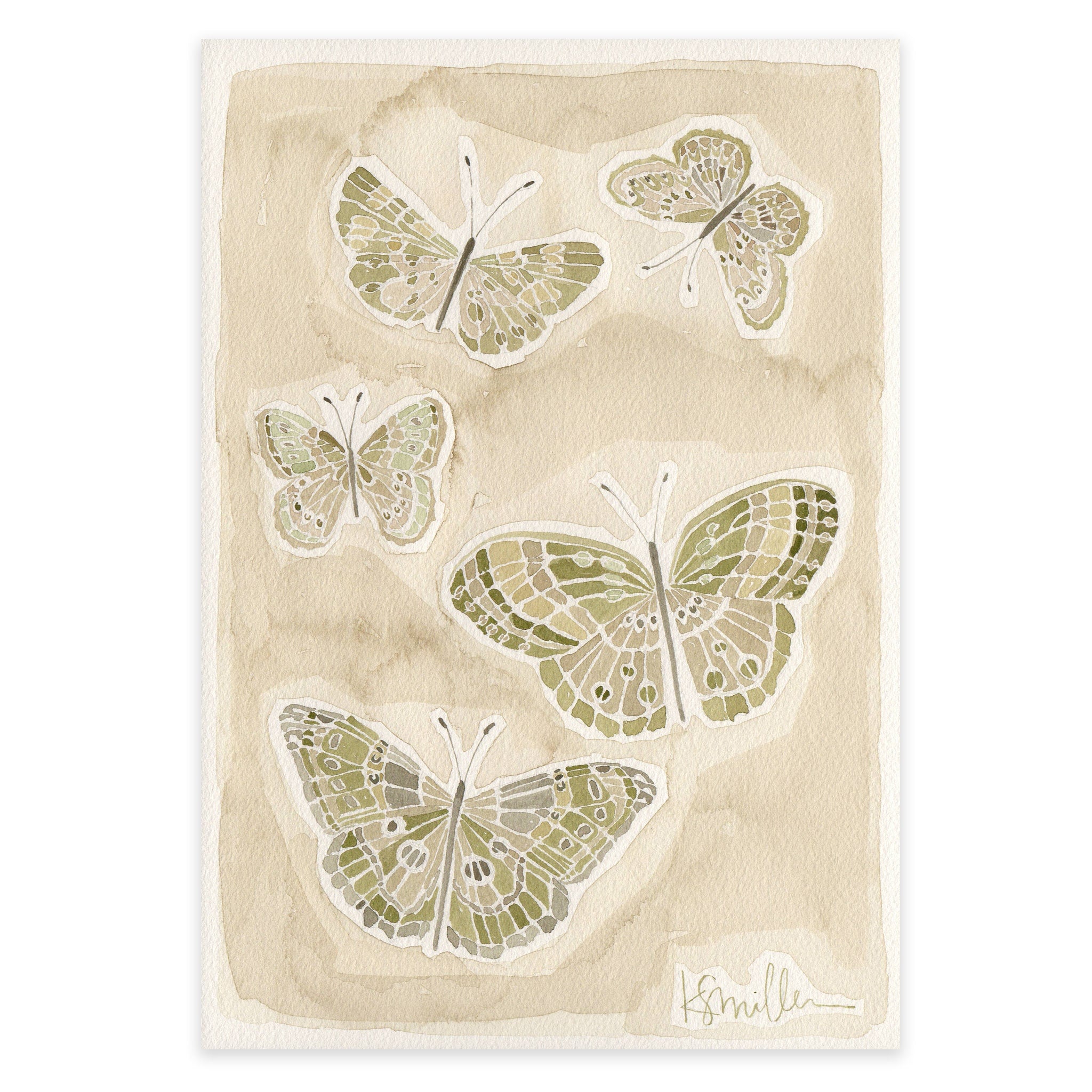 Butterflies 015