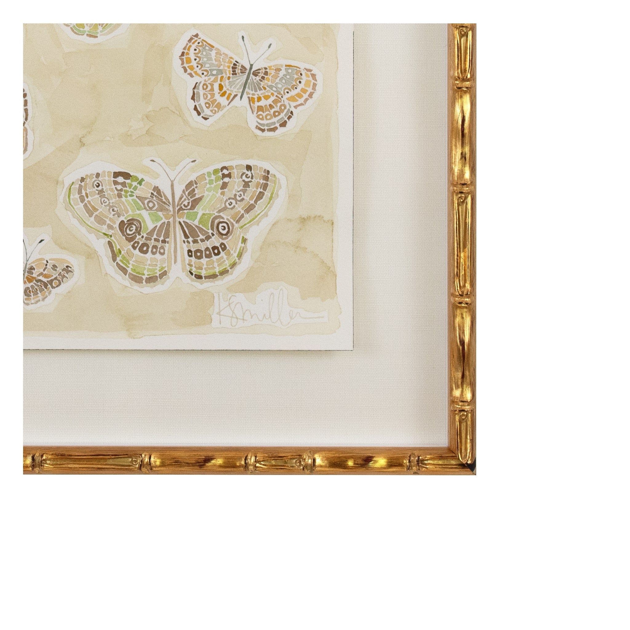 Butterflies 019