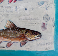 Brook, Rainbow, Brown Trout