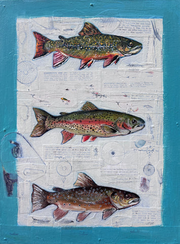 Brook, Rainbow, Brown Trout
