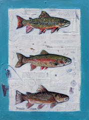 Brook, Rainbow, Brown Trout
