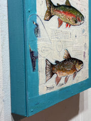 Brook, Rainbow, Brown Trout
