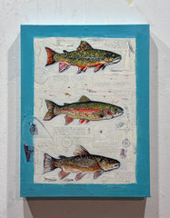 Brook, Rainbow, Brown Trout