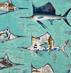Marlin vs. Sailfish