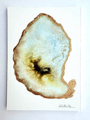 Oyster Watercolor 2