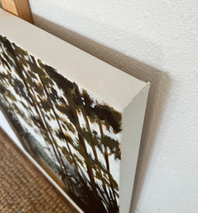 Where the Palms Meet the Pines