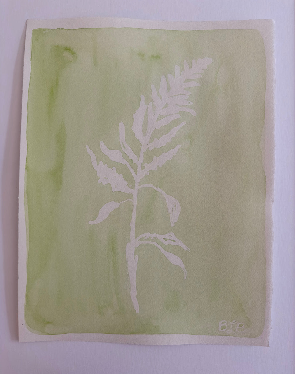 Green Fern