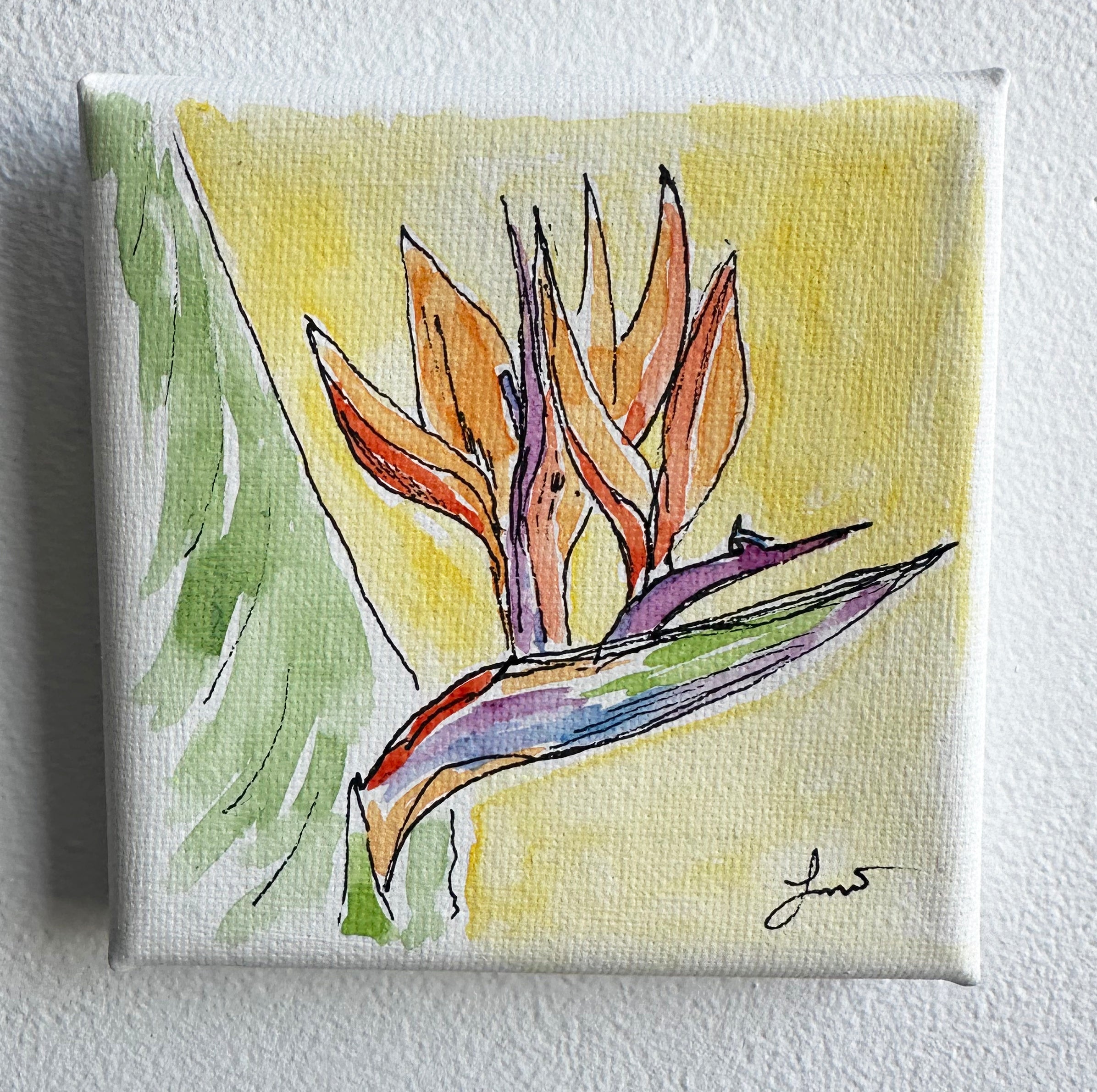 Bird of Paradise