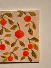 Orange Grove on Blush
