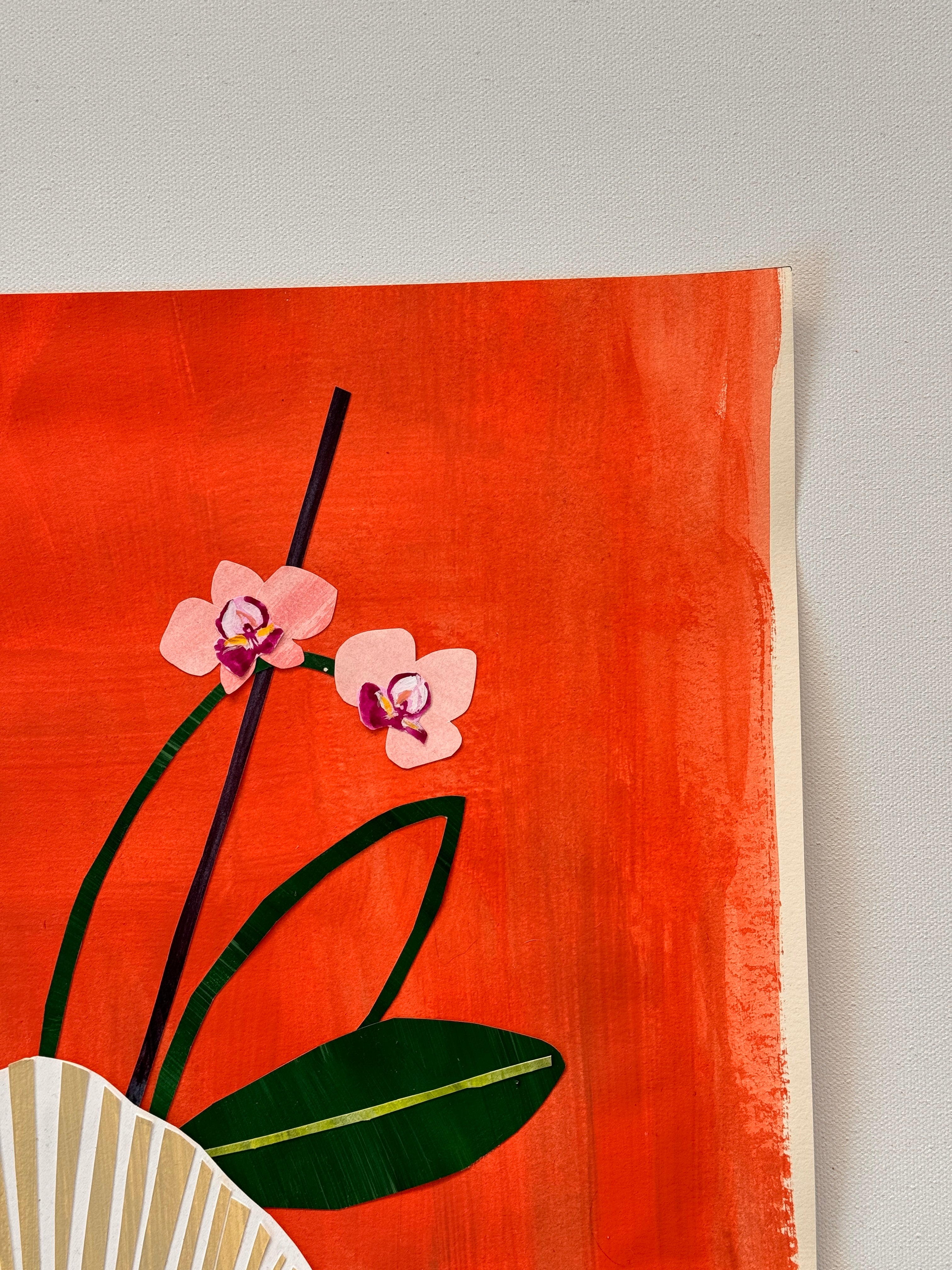 Orchids in the Afternoon