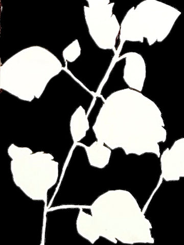 Wandered Through the Trees 4