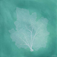 Ocean Lace