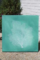 Ocean Lace