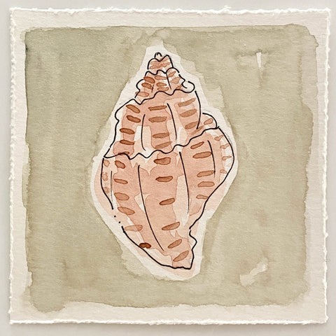 Mini Shell No. 13