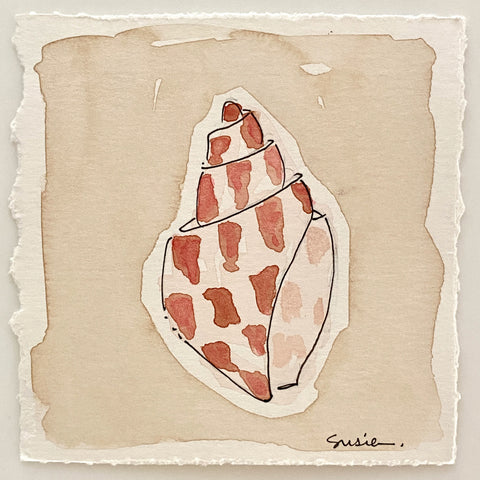 Mini Shell No. 2