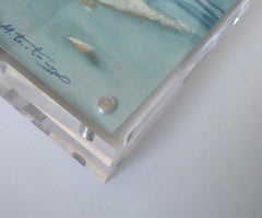 Sanderling