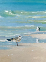 Sandpipers