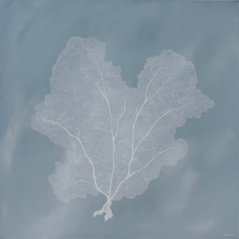 Sea Veil
