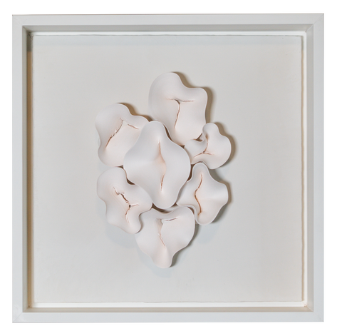 Chrysalis in Ivory