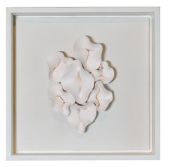 Chrysalis in Ivory