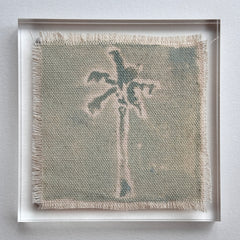 Original Hurricane Palm 20