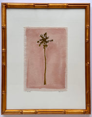 Original Hurricane Palm XL 5