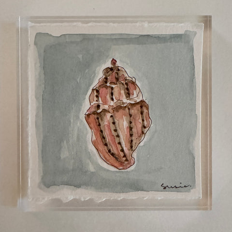 Original Seashell 12