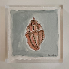 Original Seashell 12