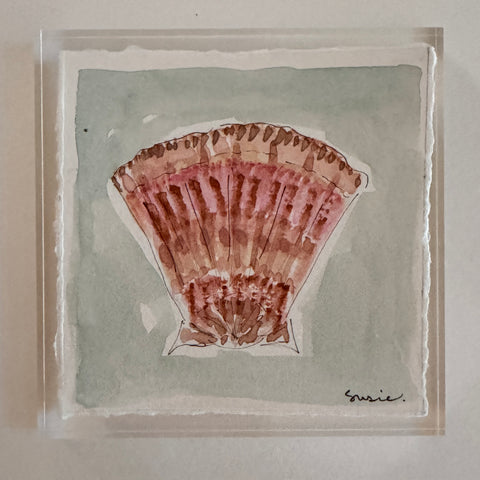 Original Seashell 14