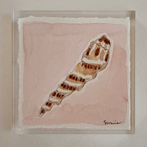 Original Seashell 15