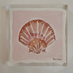 Original Seashell 19