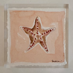 Original Seashell 21