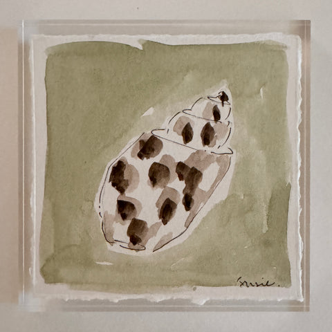 Original Seashell 26