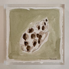 Original Seashell 26