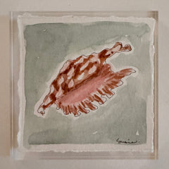Original Seashell 29