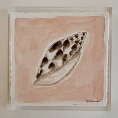 Original Seashell 30