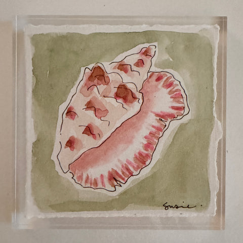 Original Seashell 39