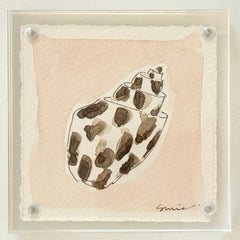 Original Susie Shell No. 1