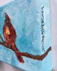 Spring Cardinal