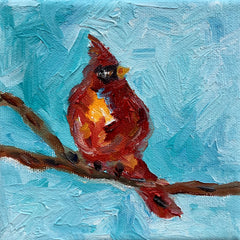 Spring Cardinal