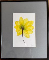 Yellow Flower