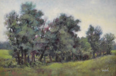 Field Boundary