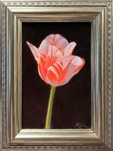 Tulip Study IV