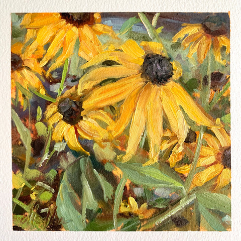 Black-Eyed Susan