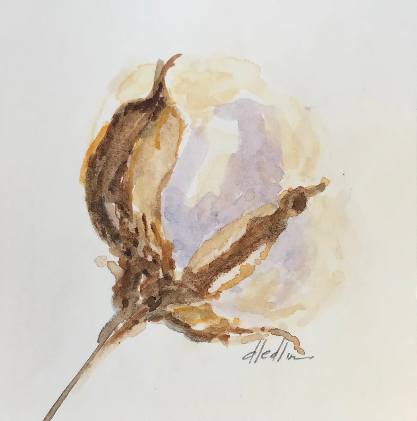 Cotton IX