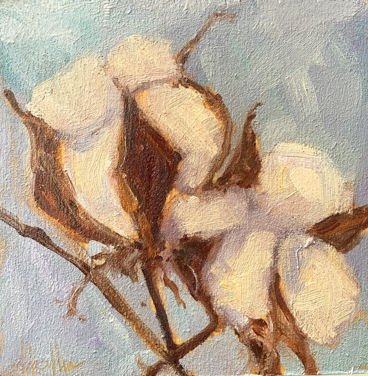 Cotton VII