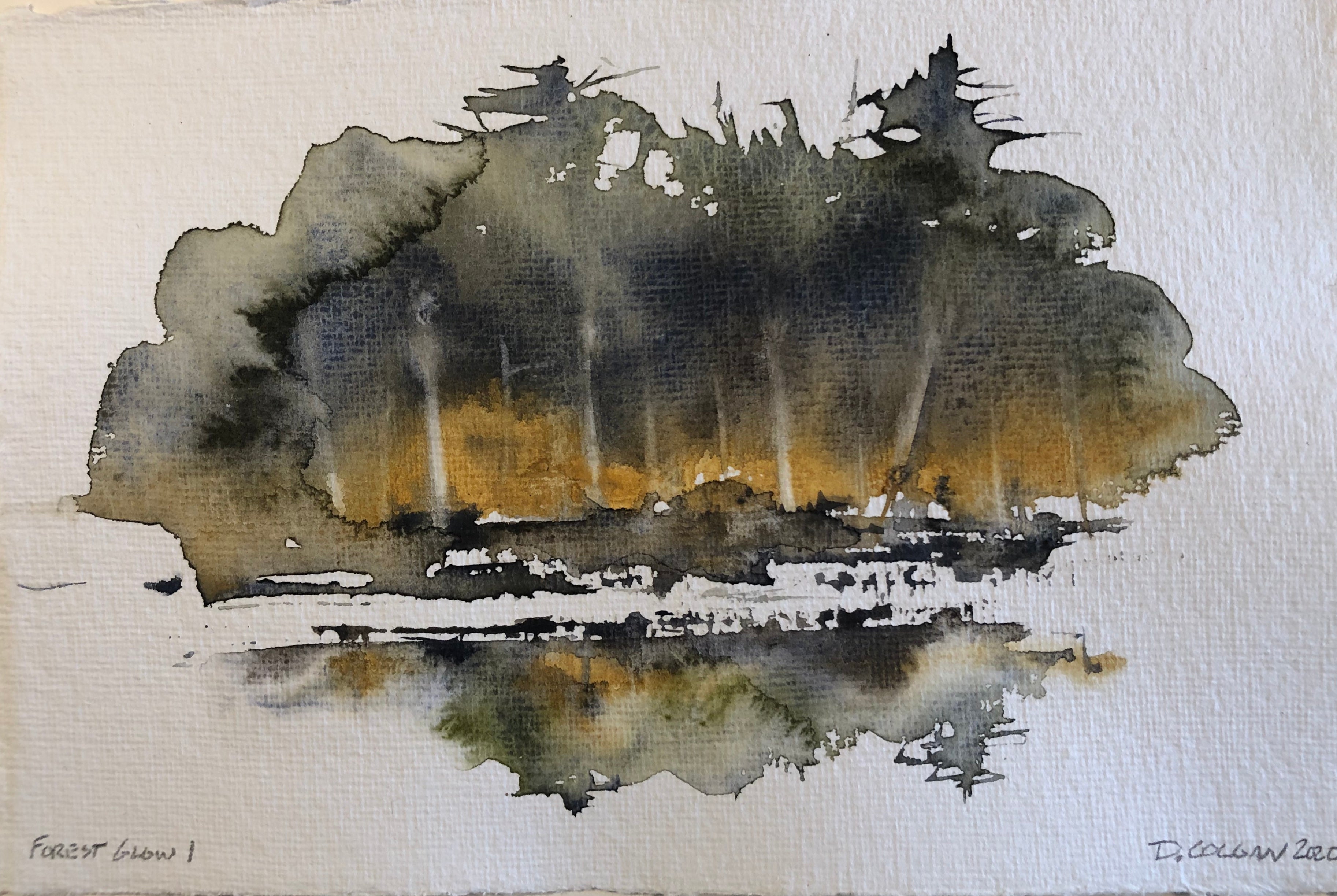Forest Glow 1