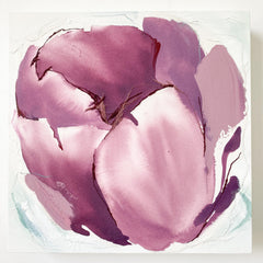 Purple Tulip